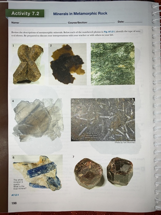 Activity 7.2 Minerals in Date: Name: Course/Section: | Chegg.com