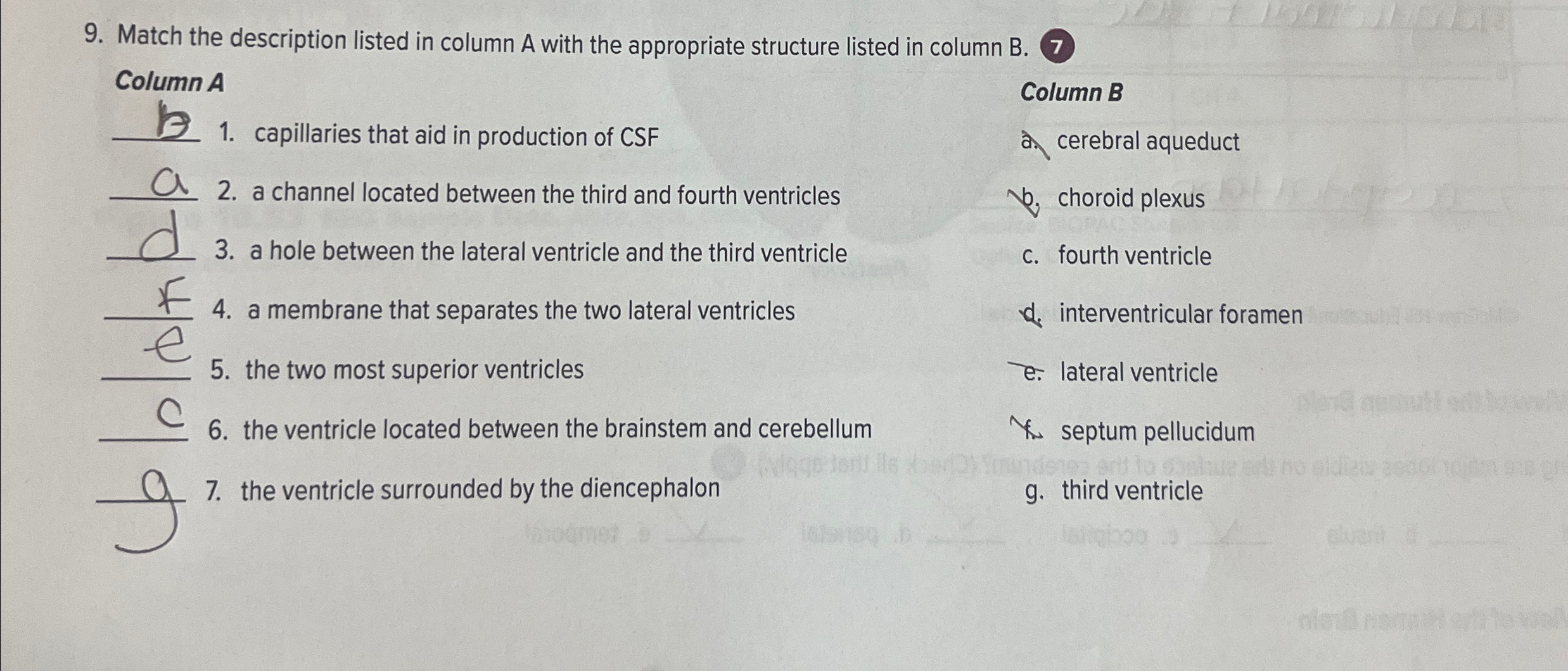 Solved Match the description listed in column A with the | Chegg.com