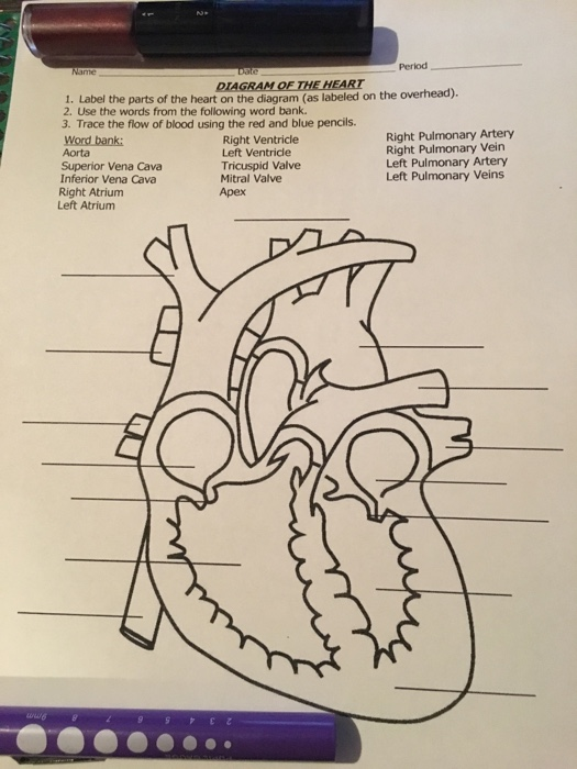 Solved: Period Name DIAGRAM OF THE HEART 1. Label The Part ...