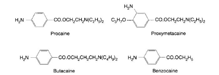 Procaine
Proxymetacaine
Butacaine
Benzocaine