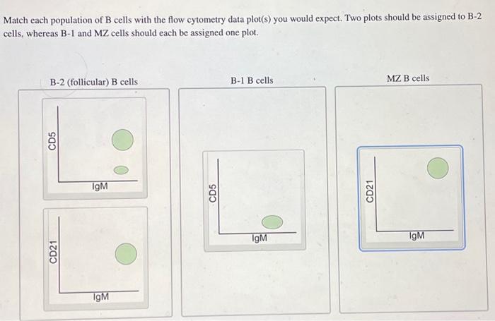 Solved Match Each Population Of B Cells With The Flow | Chegg.com