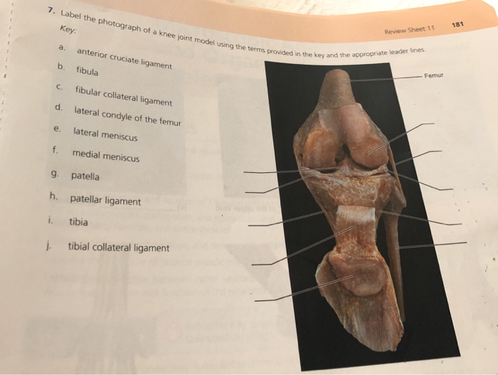 student submitted image, transcription available below