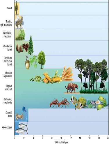 Solved: Which world ecosystems are most productive in terms of ...