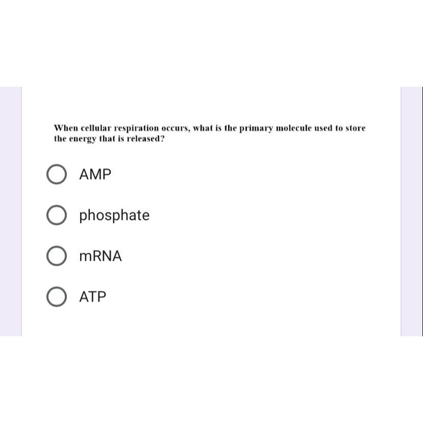 which molecule is the primary source of energy used in cellular respiration