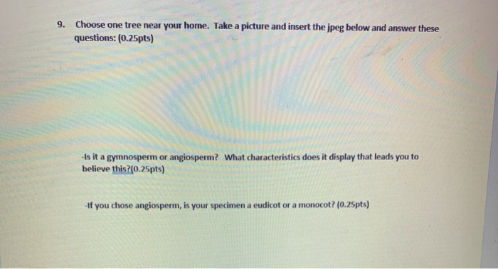 Solved Editing Voic 1. What is the difference between the | Chegg.com