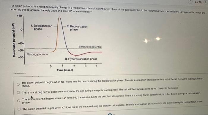 Solved An action potential is a rapid, temporary change in a | Chegg.com