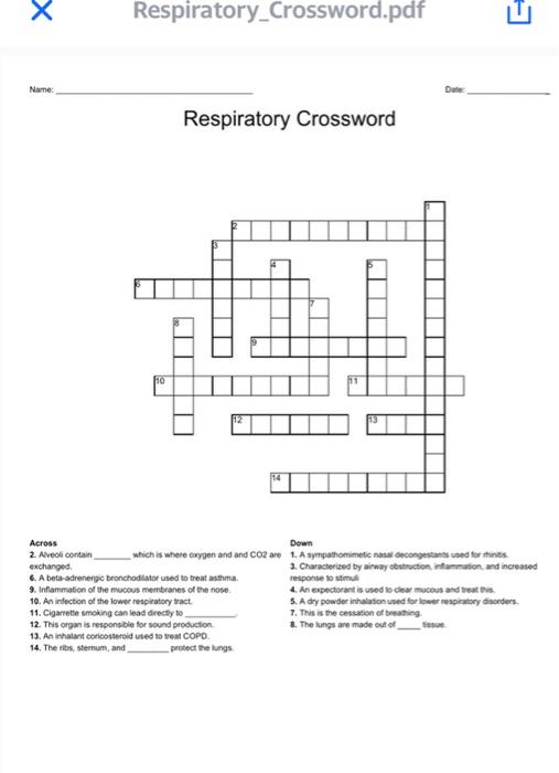 Solved X Respiratory Crossword.pdf Name: Respiratory | Chegg.com