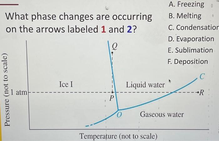 What phase changes are occurring on the arrows | Chegg.com