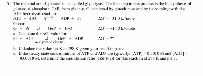 Solved AG. 5. The metabolism of glucose is also called | Chegg.com