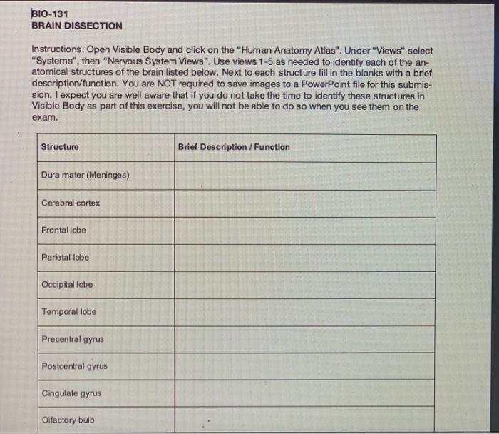 Solved BIO-131 BRAIN DISSECTION Instructions: Open Visible | Chegg.com