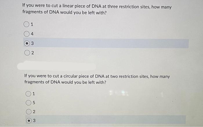 Solved If you were to cut a linear piece of DNA at three | Chegg.com