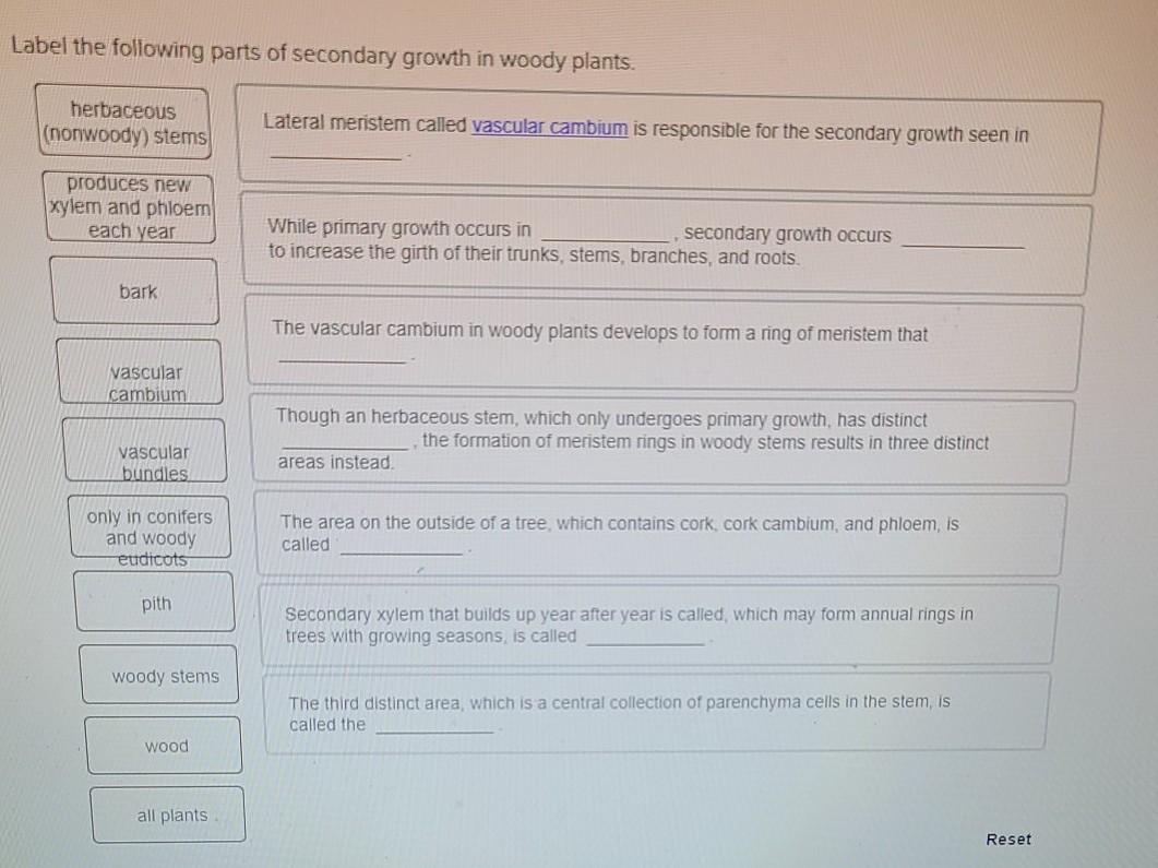 Question Label The Following Parts Of Secondary Growth In Woody Plants