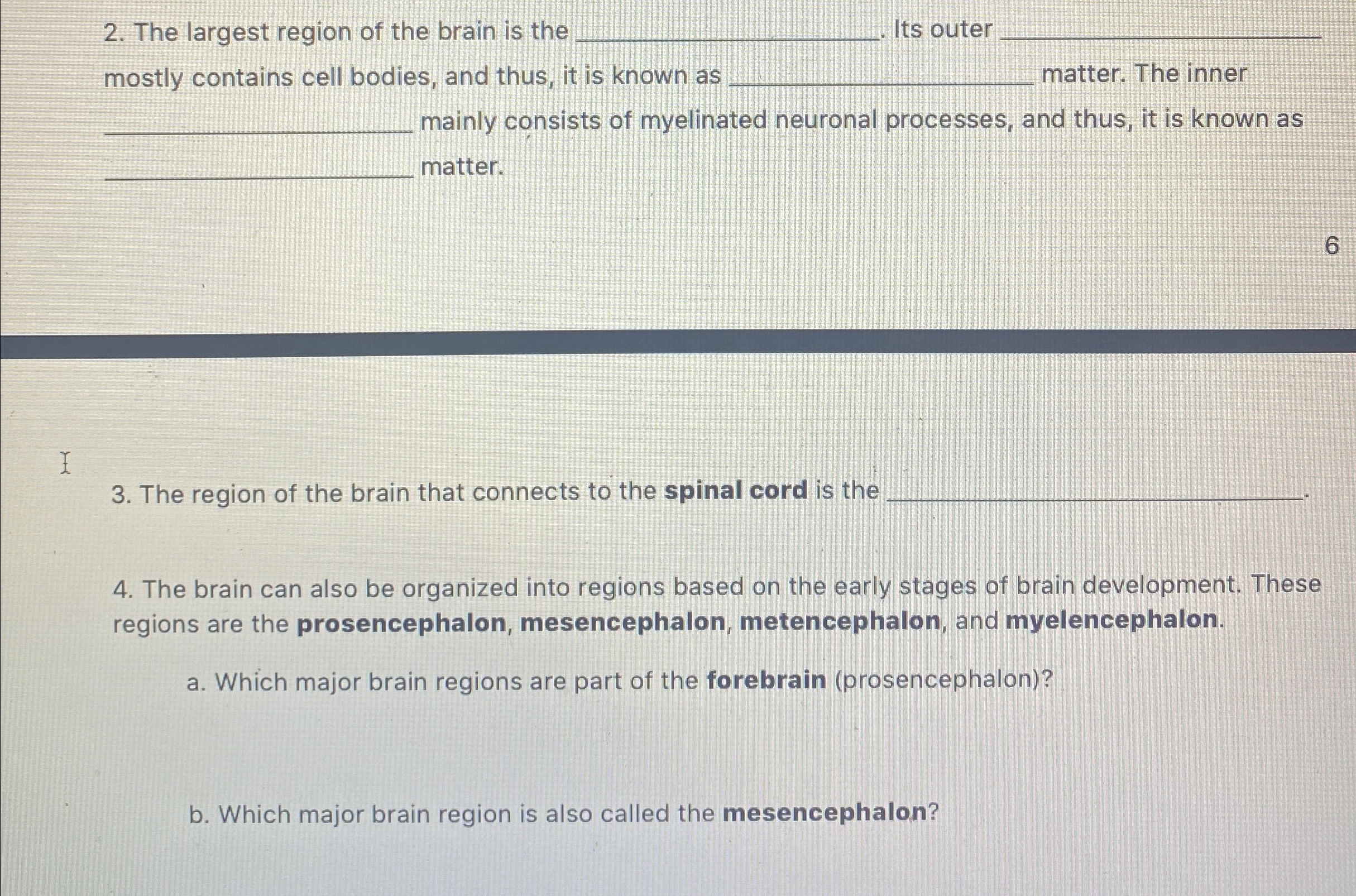 Solved The largest region of the brain is the q, . ﻿Its | Chegg.com
