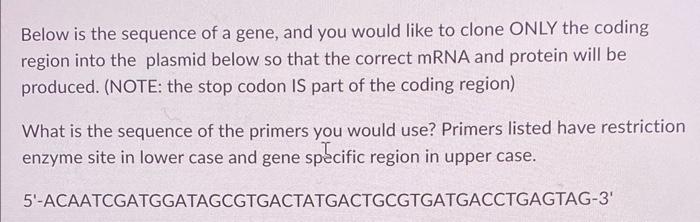 Solved Below is the sequence of a gene, and you would like | Chegg.com
