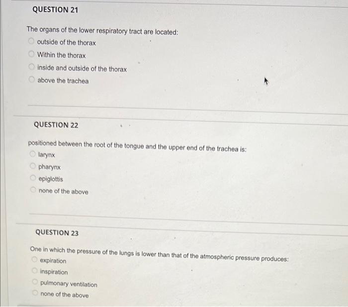 Solved QUESTION 21 The organs of the lower respiratory tract | Chegg.com