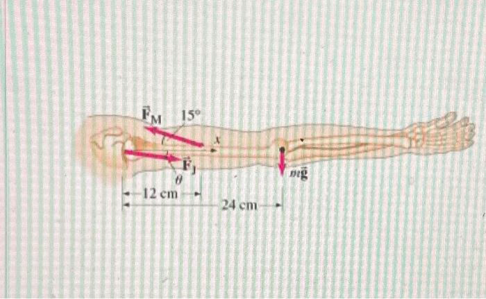 Solved The Total Mass Of The Arm Shown In Figure Is Chegg Com