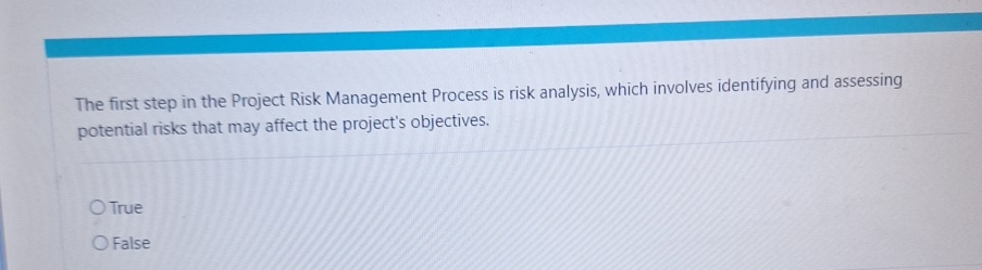 Solved The first step in the Project Risk Management Process | Chegg.com