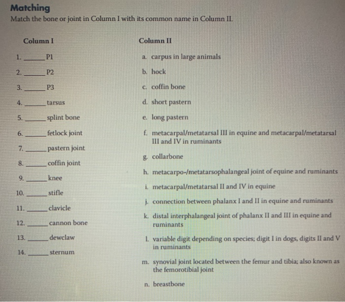 Solved match the bone or joint in Column 1 with its common | Chegg.com