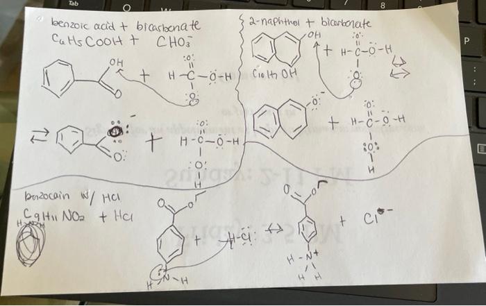 Solved benzoic acid + bicasbenate C4H5COOH+CHO3− benzocain | Chegg.com