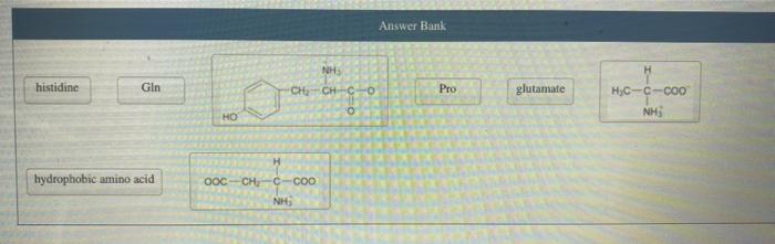 Solved Determine whether the side chain of each of the amino | Chegg.com