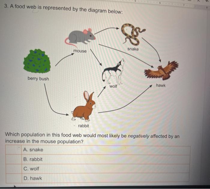 Solved 3. A food web is represented by the diagram below: | Chegg.com