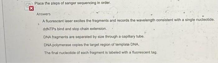 Solved Place the steps of sanger sequencing in order. | Chegg.com
