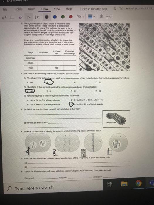 S-LAB MILOSLU File Home Insert Draw View Help Open in | Chegg.com