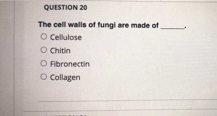Solved Match the Fungal Phyla to the best description. V | Chegg.com