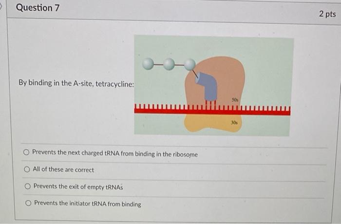 Solved What amino acid sequence would arise from the | Chegg.com