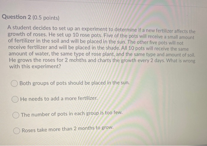 Solved Question 2 (0.5 points) A student decides to set up | Chegg.com