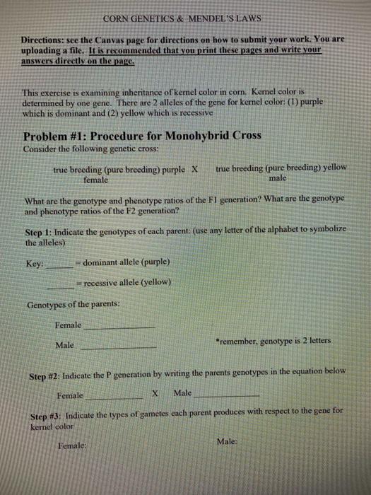 Solved CORN GENETICS & MENDEL'S LAWS Directions: see the | Chegg.com