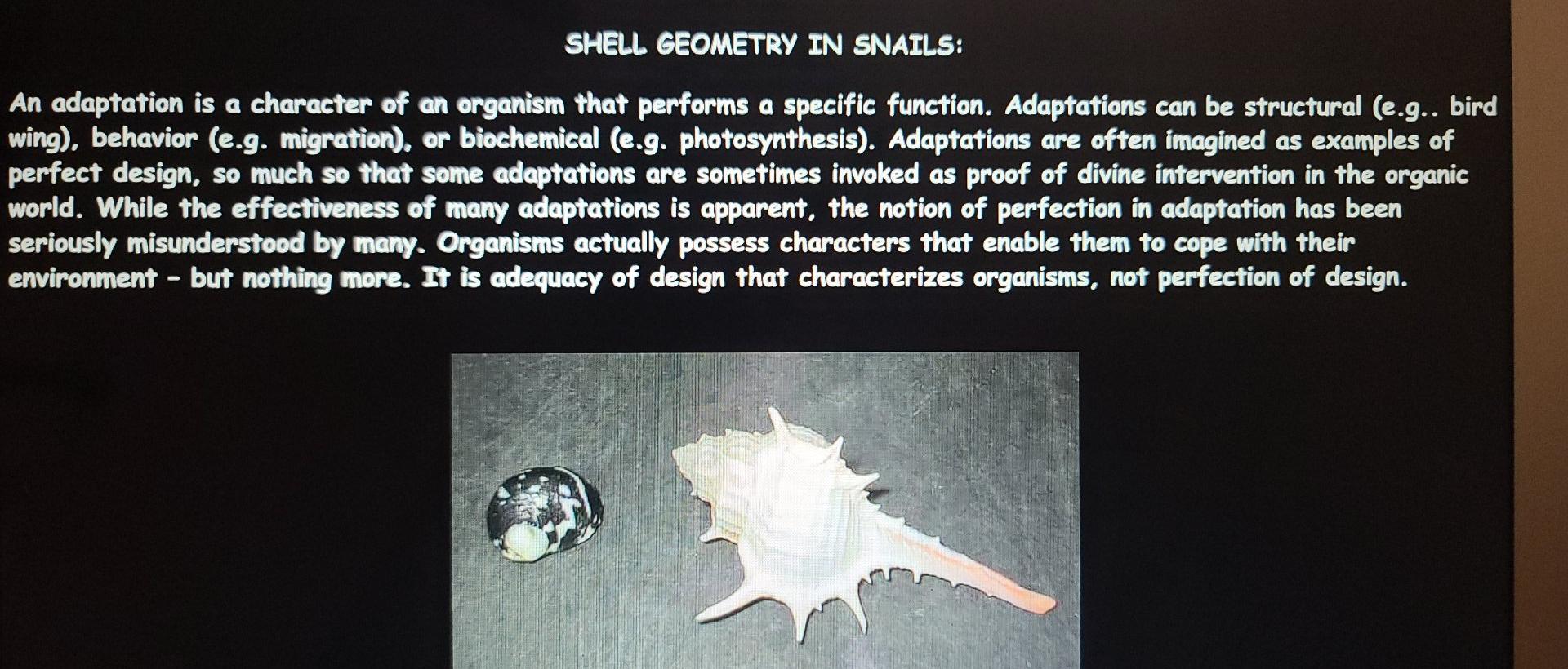 Solved SHELL GEOMETRY IN SNAILS: An adaptation is a | Chegg.com