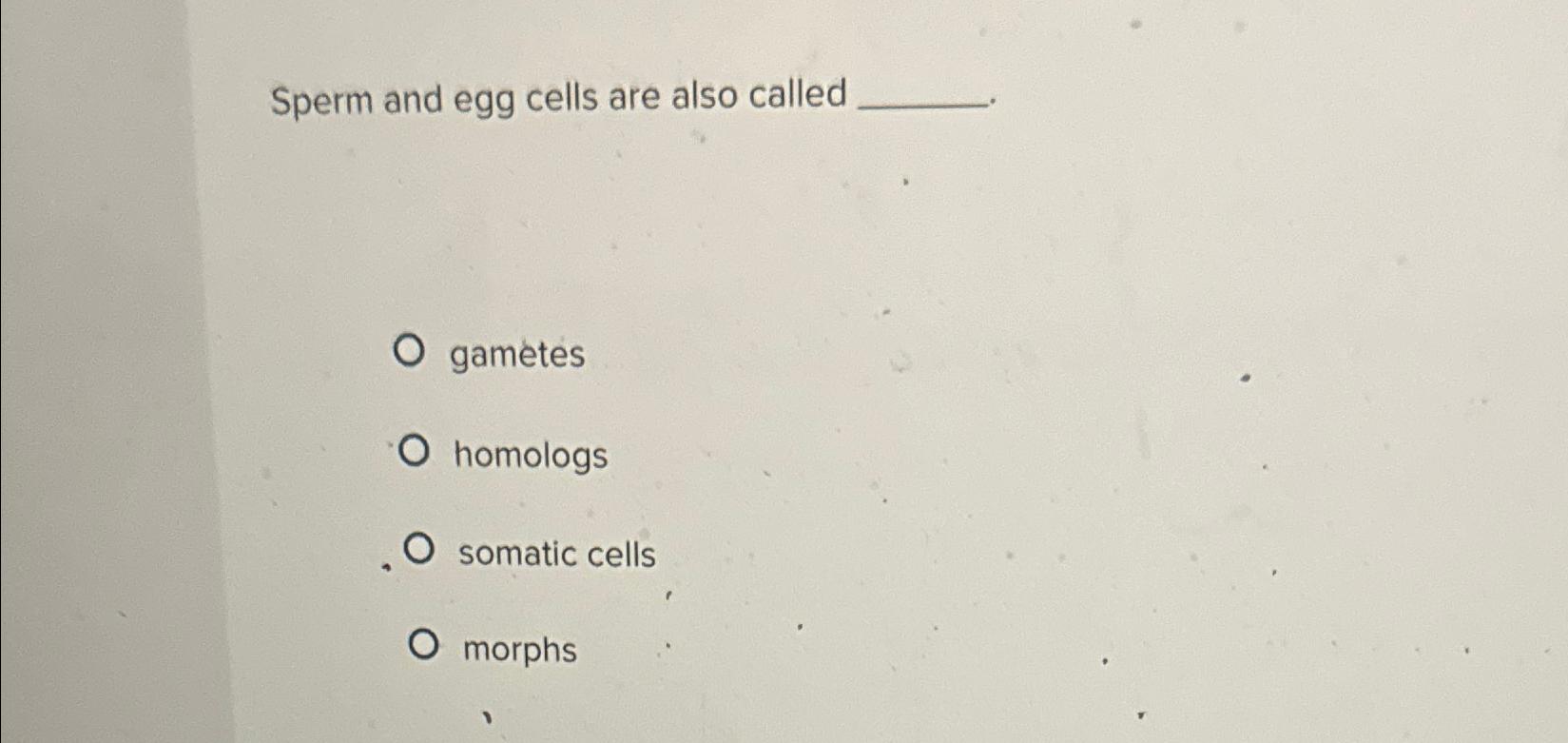 the production of sperm and egg cells is called
