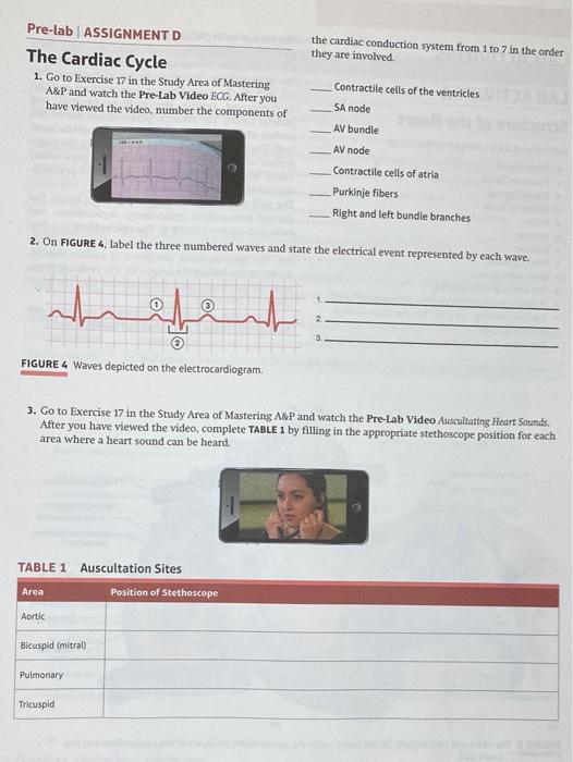 Solved the cardiac conduction system from 1 to 7 in the | Chegg.com