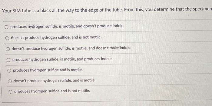 Solved Your SIM tube is a black all the way to the edge of | Chegg.com
