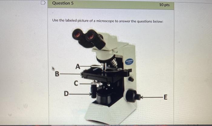 Solved D Question 5 10 pts Use the labeled picture of a | Chegg.com