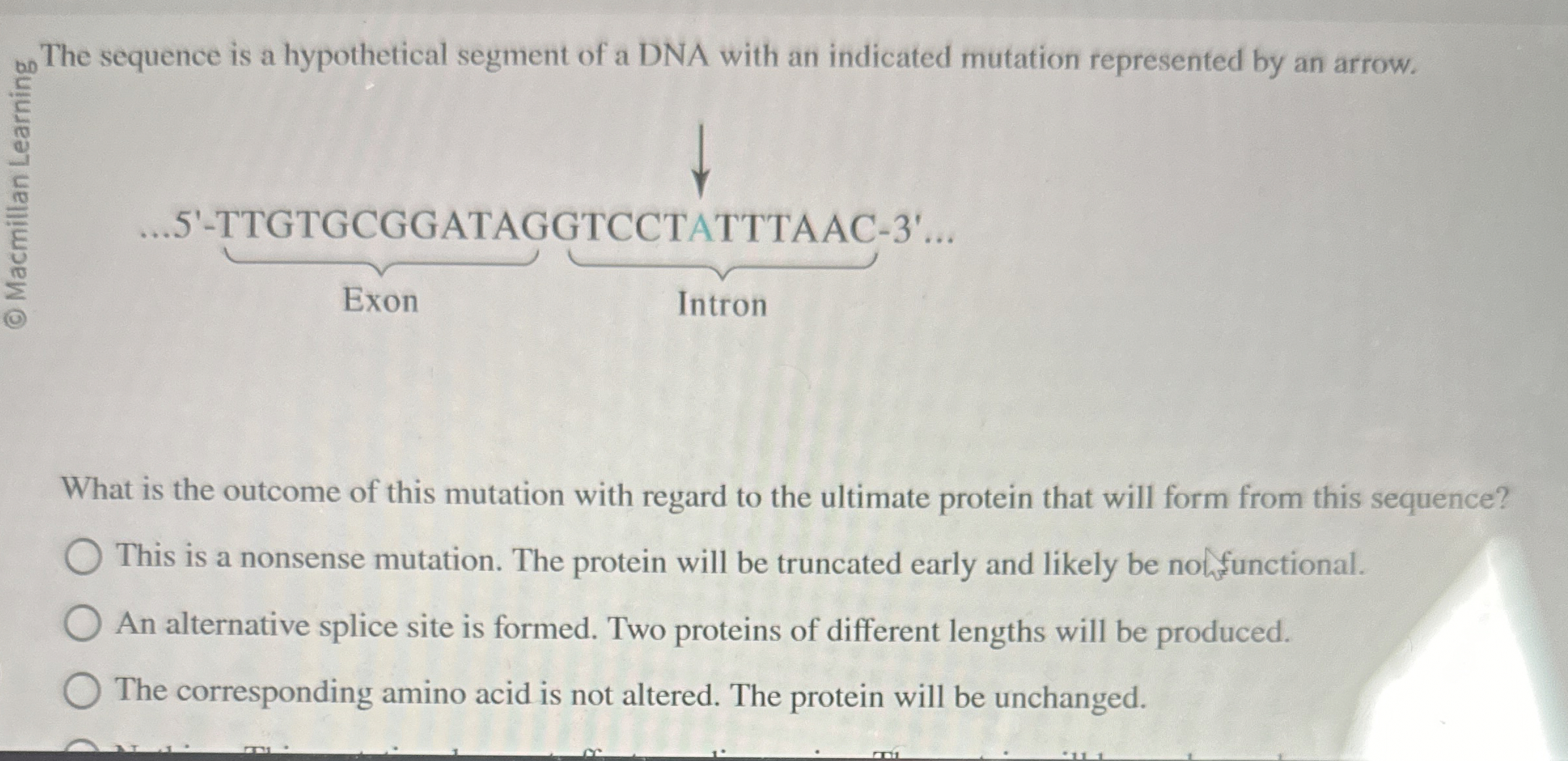 Solved The sequence is a hypothetical segment of a DNA with | Chegg.com