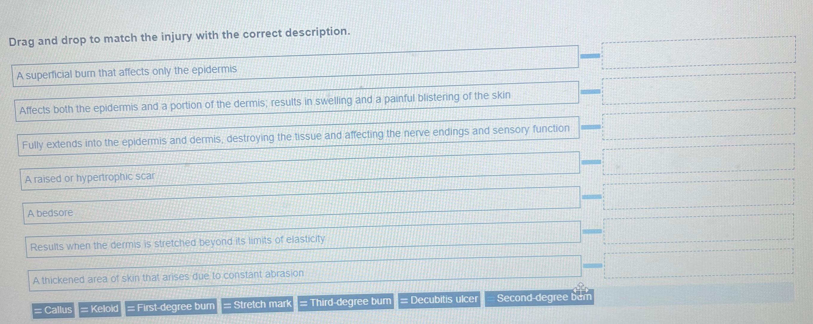 Solved Drag and drop to match the injury with the correct | Chegg.com