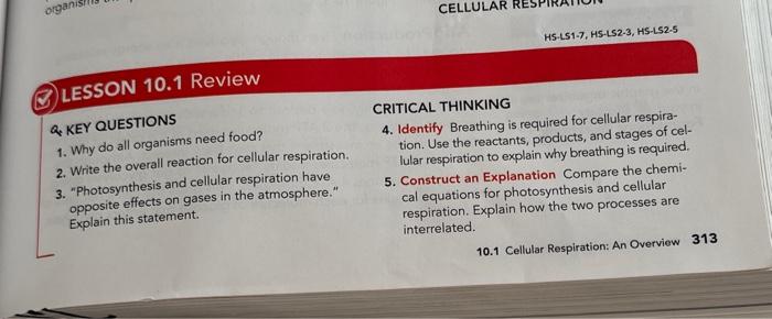 critical thinking answers key