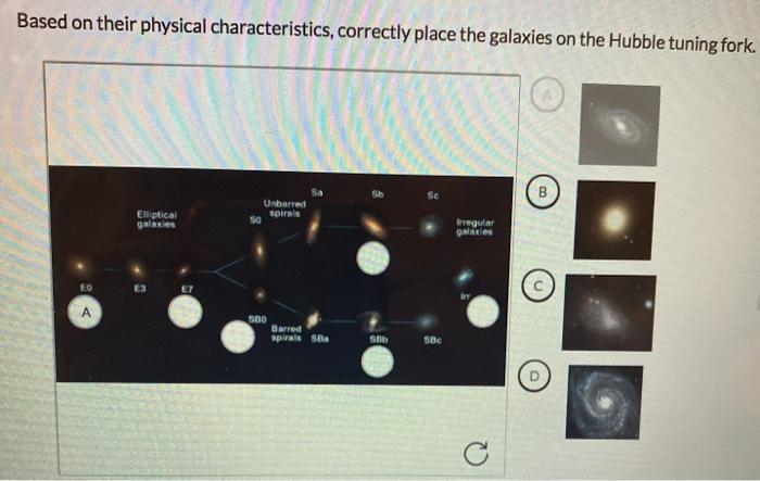 solved-based-on-their-physical-characteristics-correctly-chegg