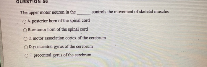 Solved QUESTION 56 The upper motor neuron in the controls | Chegg.com