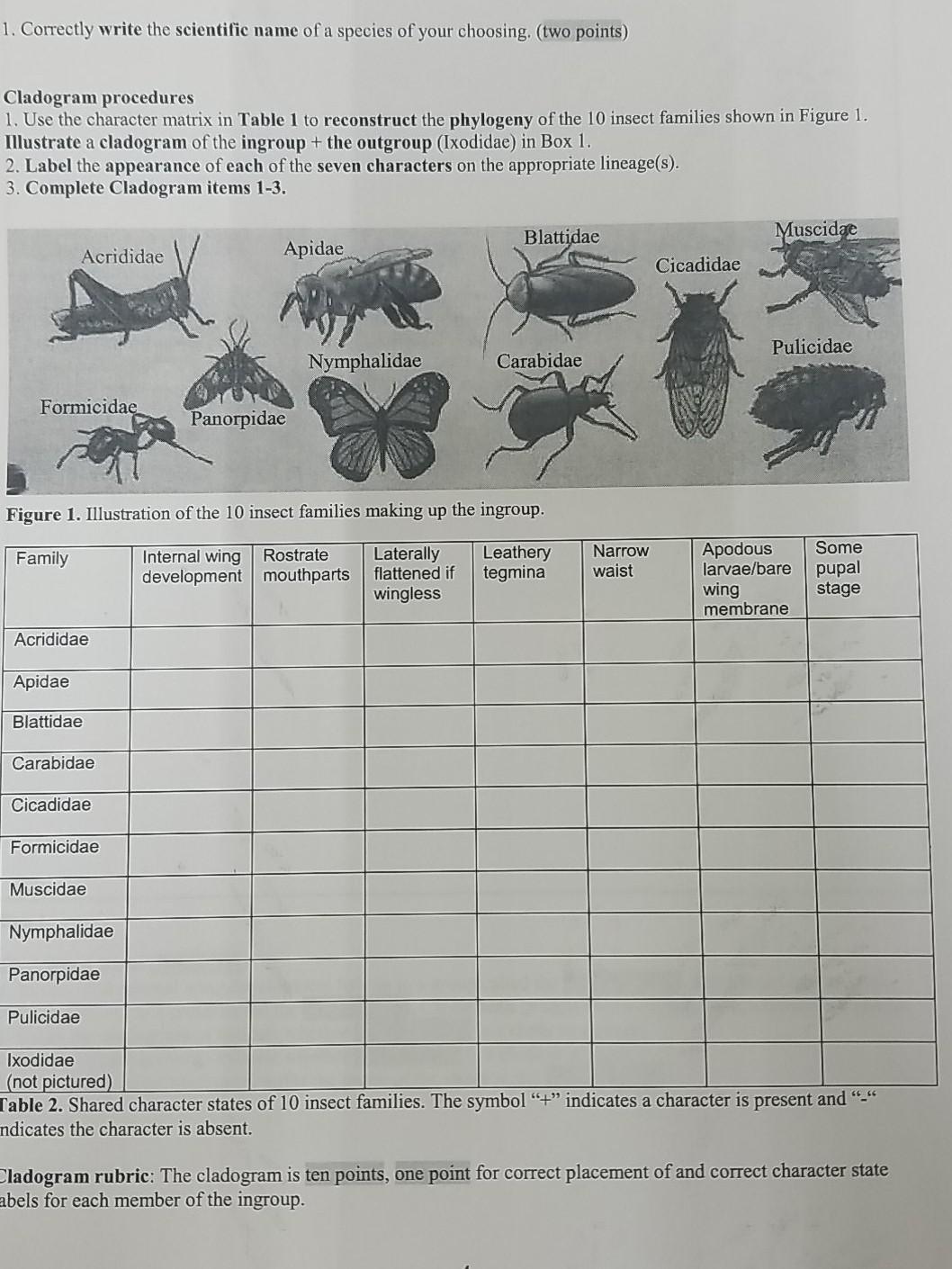 1. Correctly write the scientific name of a species | Chegg.com