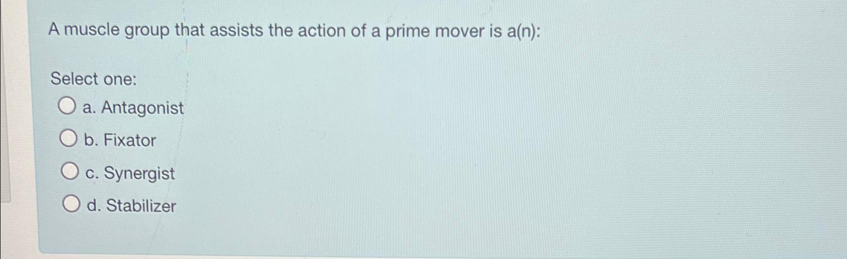 Solved A muscle group that assists the action of a prime | Chegg.com
