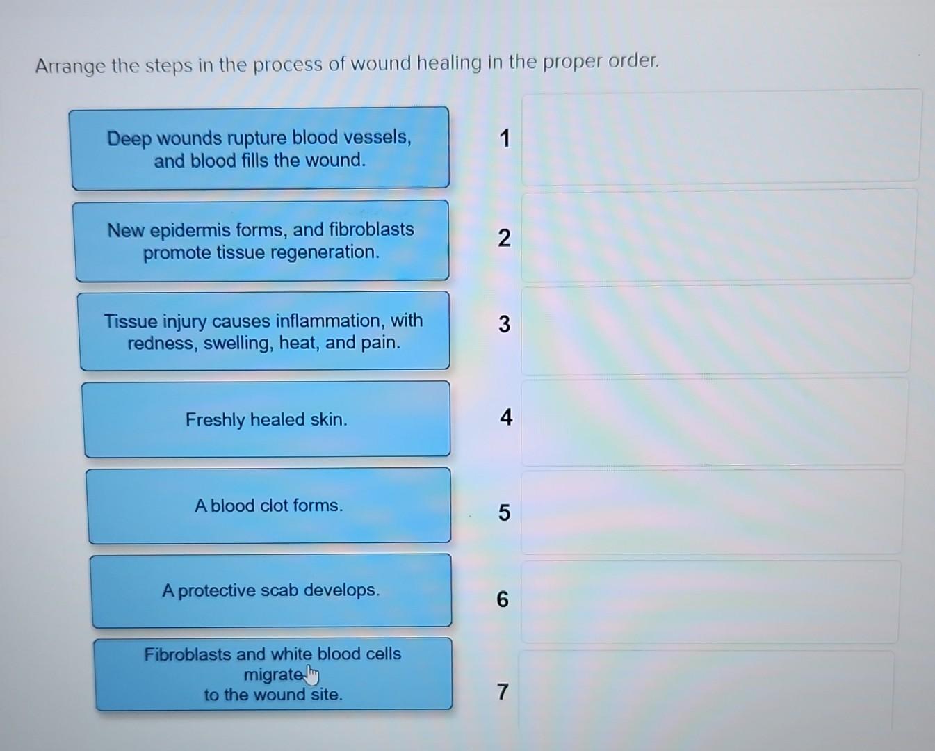 solved-arrange-the-steps-in-the-process-of-wound-healing-in-chegg