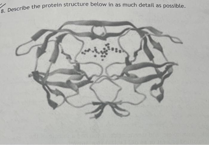 Solved 8. Describe the protein structure below in as much | Chegg.com