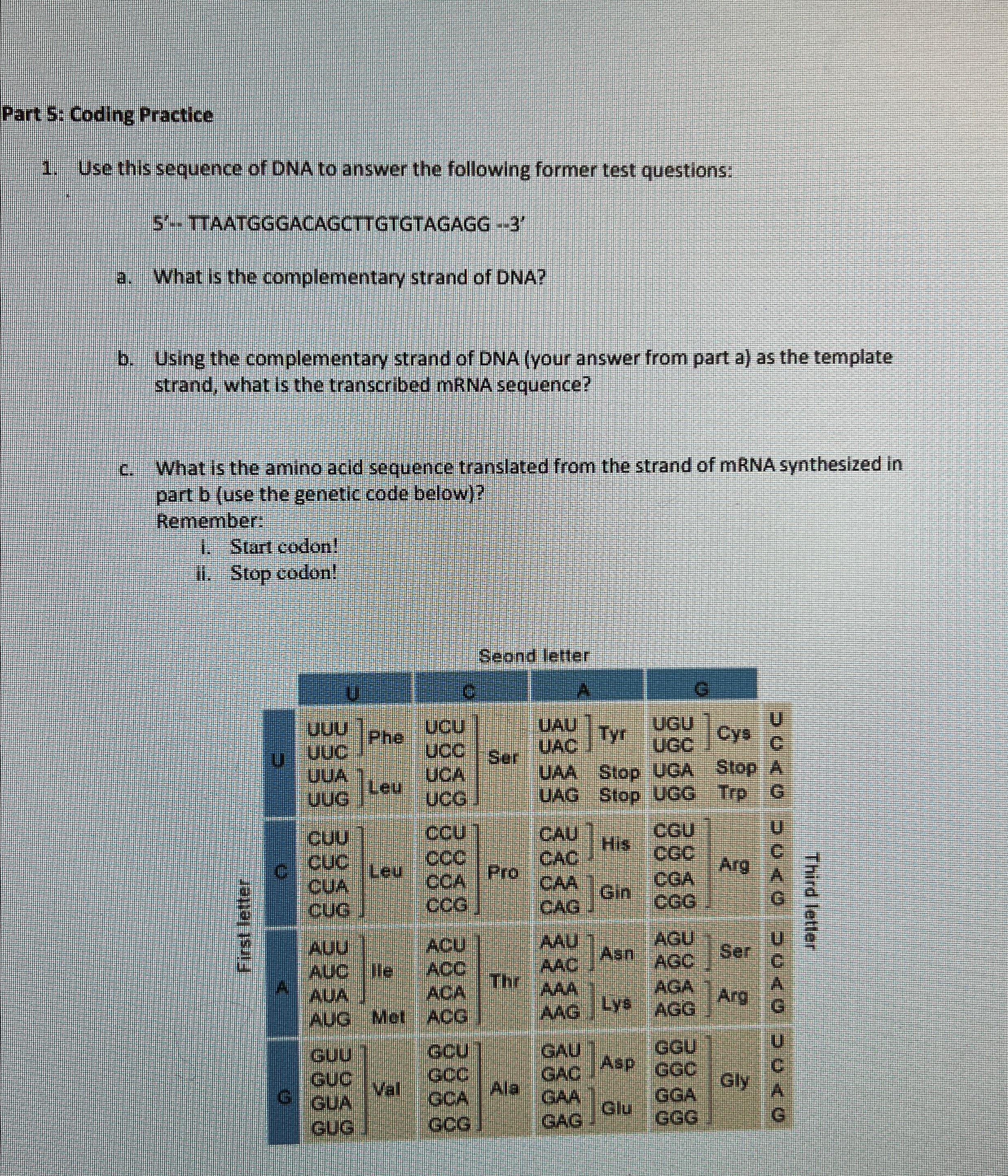 Solved Use this sequence of DNA to answer the following | Chegg.com