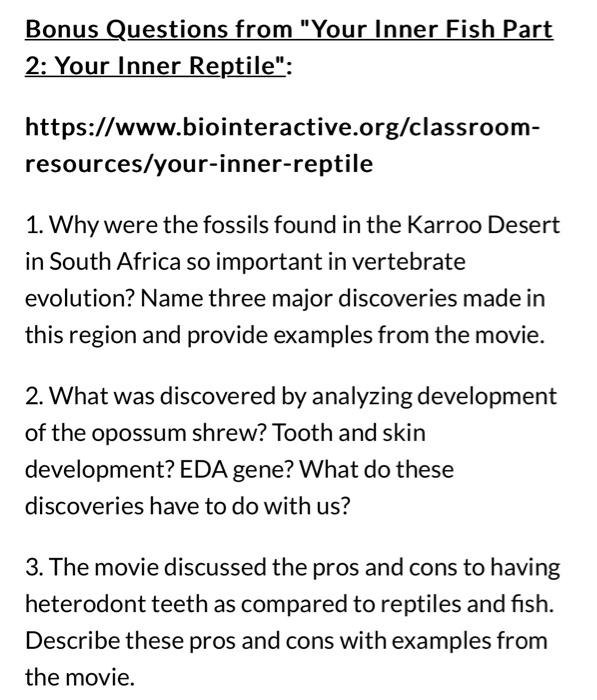 Solved Bonus Questions from "Your Inner Fish Part 2 Your