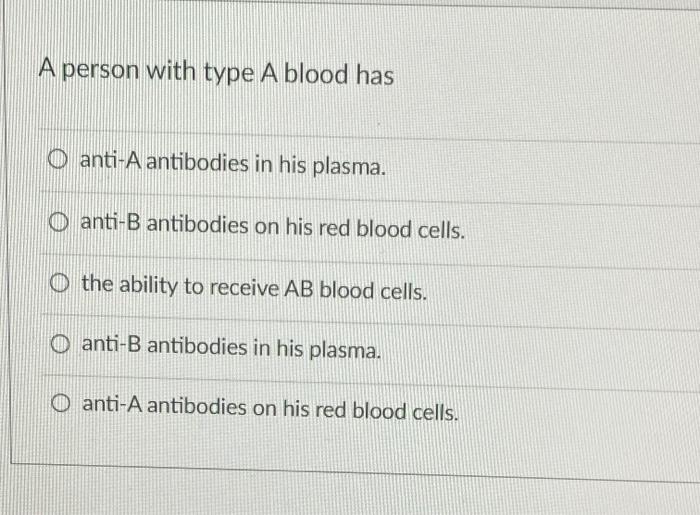 Solved A person with type A blood has O anti-A antibodies in | Chegg.com