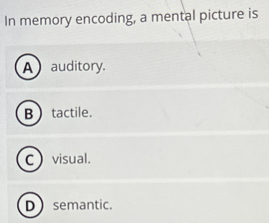 Solved In memory encoding, a mental picture is(A) | Chegg.com