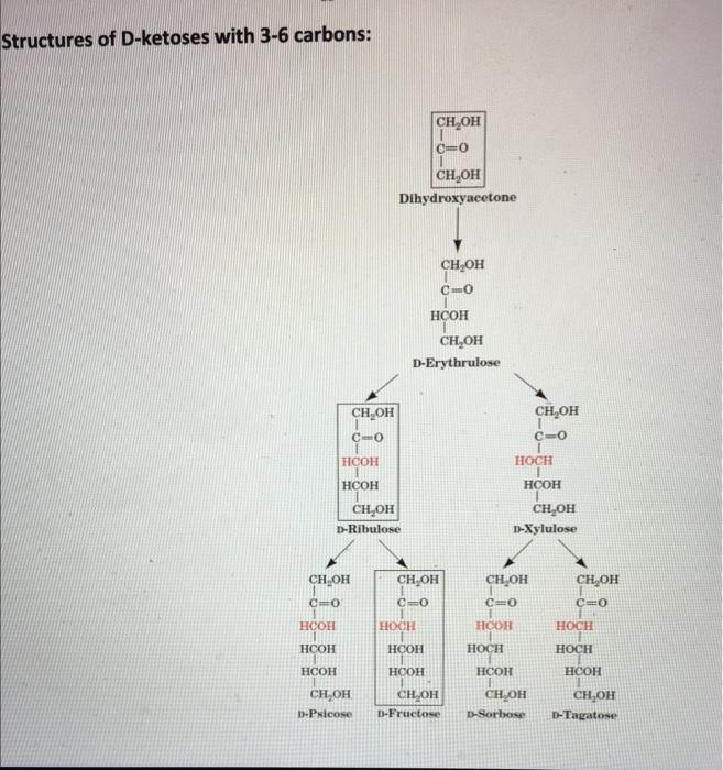 Strueturae of n-katnses with 3-6 carbons: